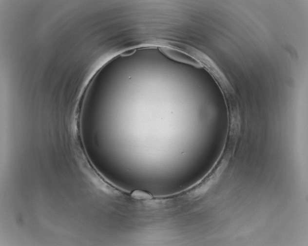 X0000111420908200907131159