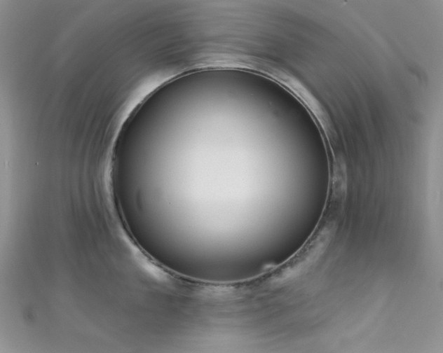 X0000111420909200907131159