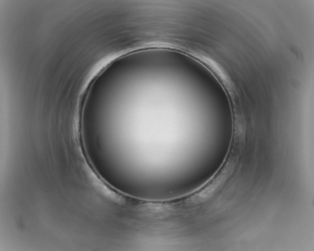 X0000111420910200907131159