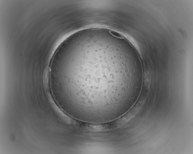 X0000111420911200907131159