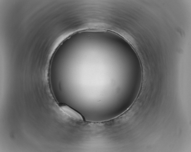 X0000111420912200907131159