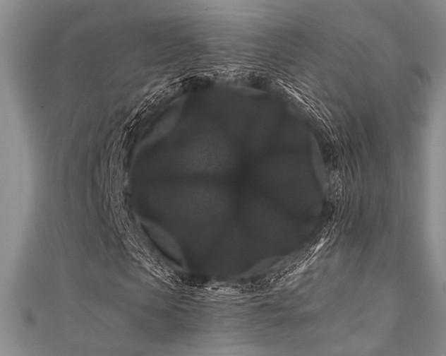 X0000111420913200907131159