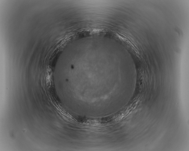 X0000111420914200907131159