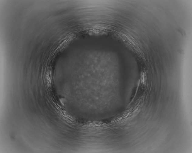 X0000111420915200907131159