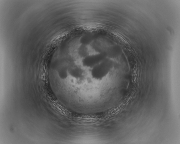 X0000111420917200907131159