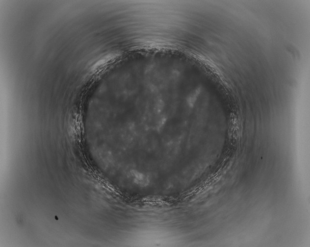 X0000111420918200907131159