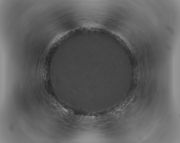 X0000111420919200907131159