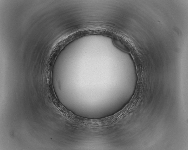 X0000111420920200907131159