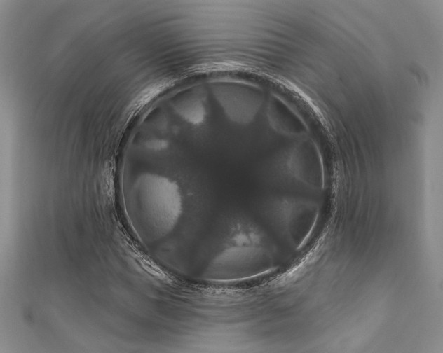 X0000111420921200907131159