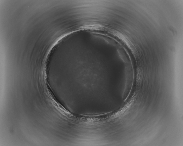 X0000111420923200907131159