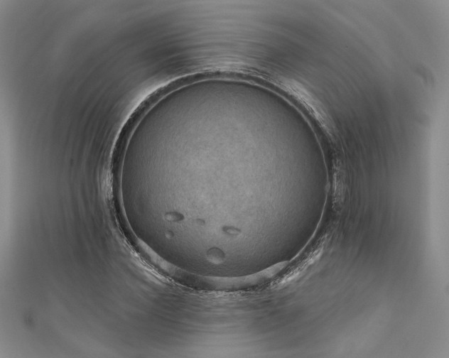 X0000111420924200907131159