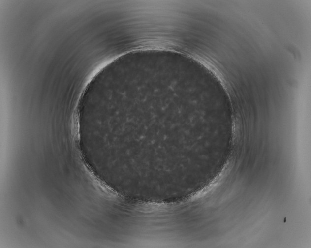 X0000111420925200907131159