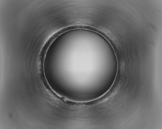 X0000111420926200907131159