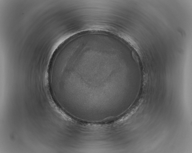 X0000111420928200907131159