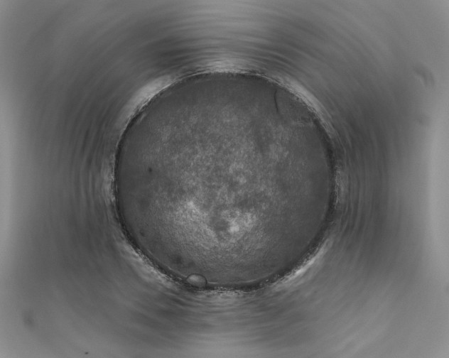 X0000111420930200907131159