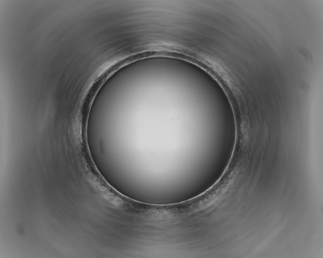 X0000111420931200907131159