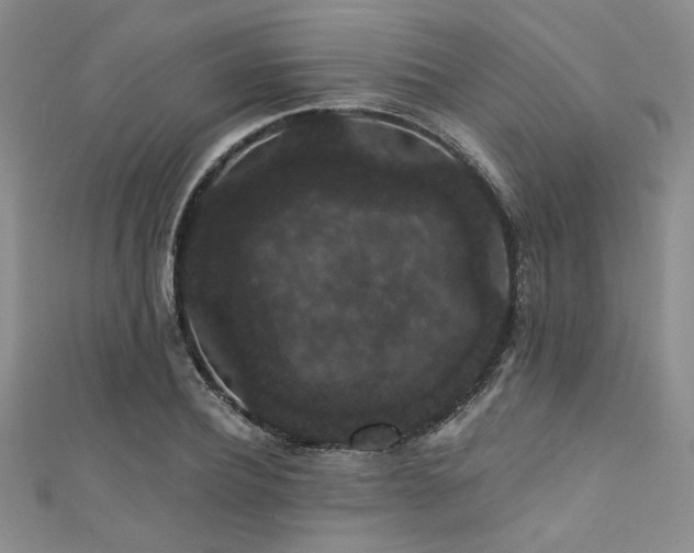 X0000111420932200907131159