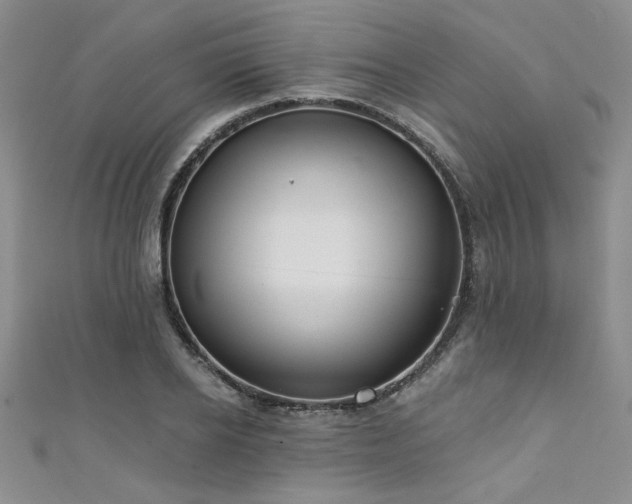 X0000111420934200907131159