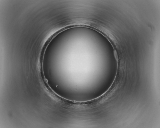 X0000111420936200907131159