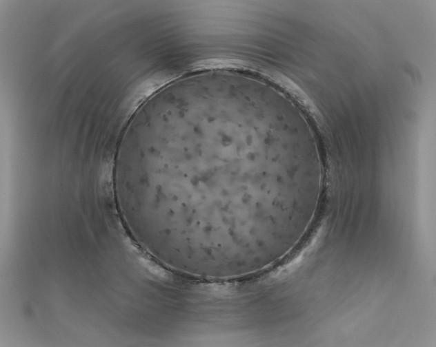 X0000111420937200907131159