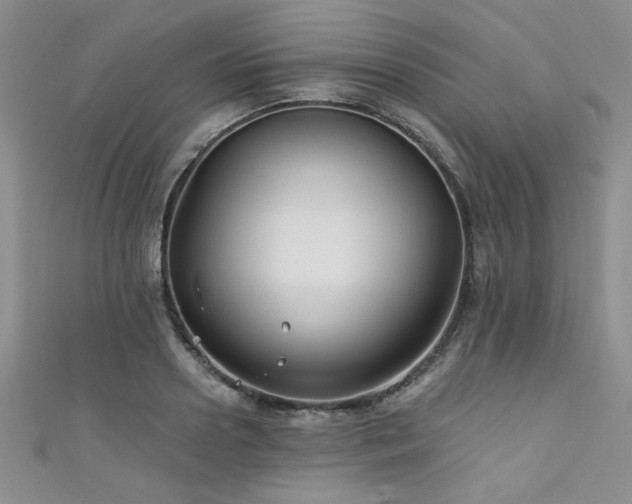 X0000111420938200907131159