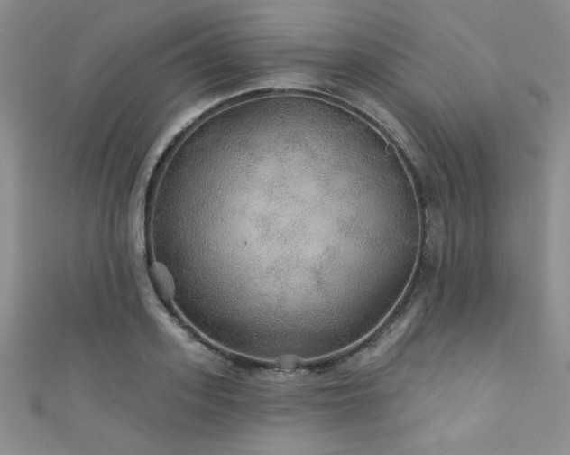 X0000111420939200907131159