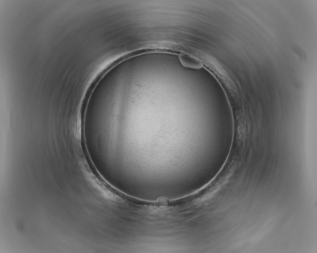 X0000111420940200907131159