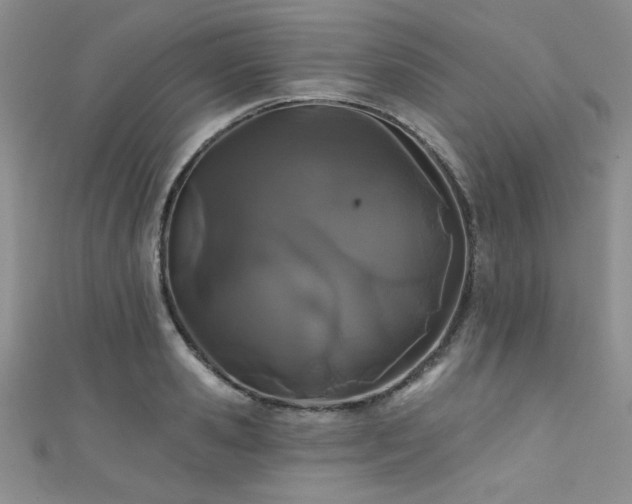 X0000111420941200907131159