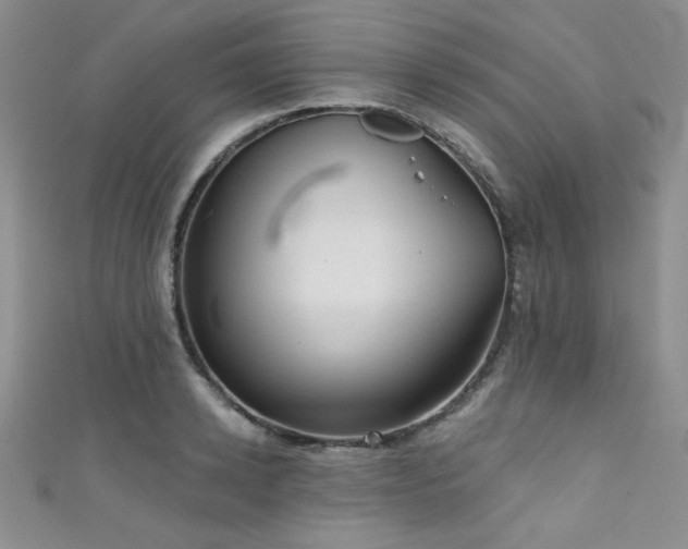 X0000111420942200907131159