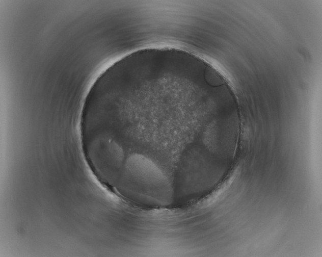 X0000111420943200907131159