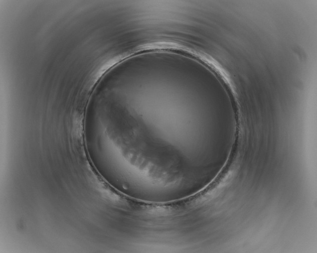 X0000111420945200907131159