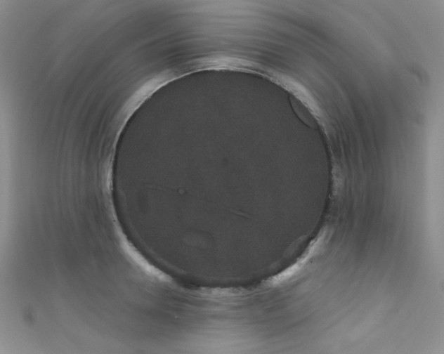 X0000111420946200907131159