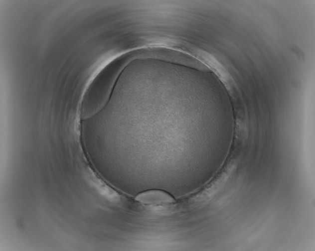 X0000111420948200907131159