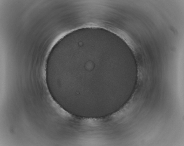 X0000111420950200907131159