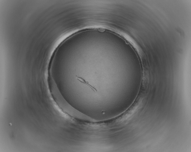 X0000111420951200907131159