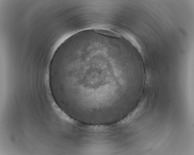 X0000111420952200907131159