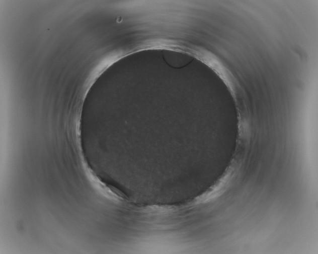 X0000111420954200907131159