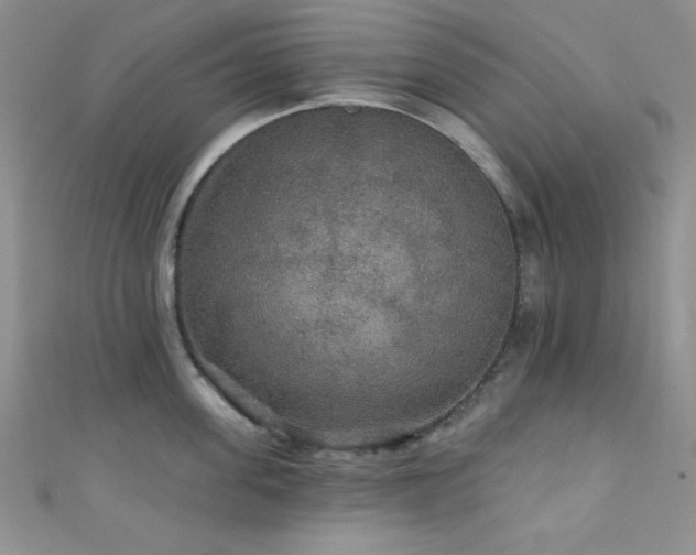 X0000111420955200907131159