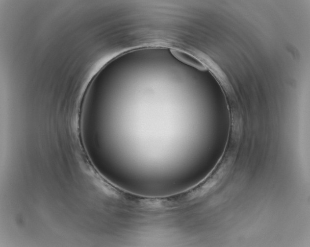 X0000111420956200907131159