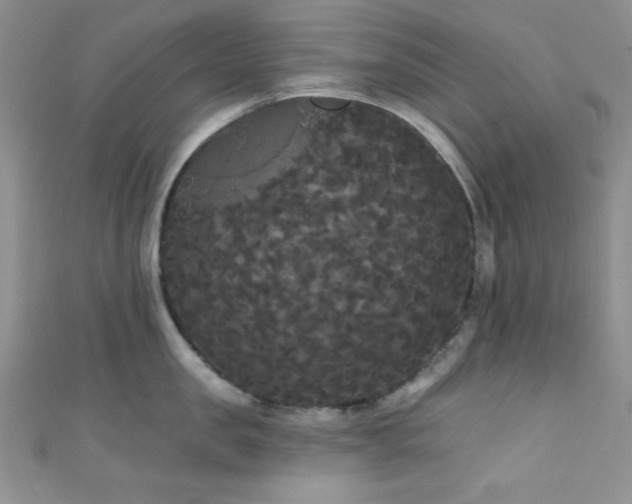 X0000111420957200907131159