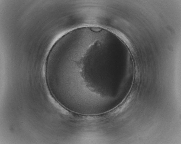 X0000111420958200907131159