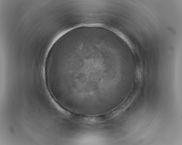 X0000111420959200907131159