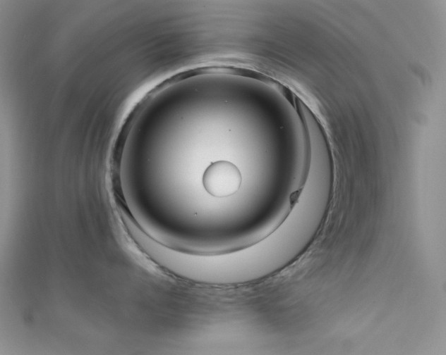 X0000111420960200907131159