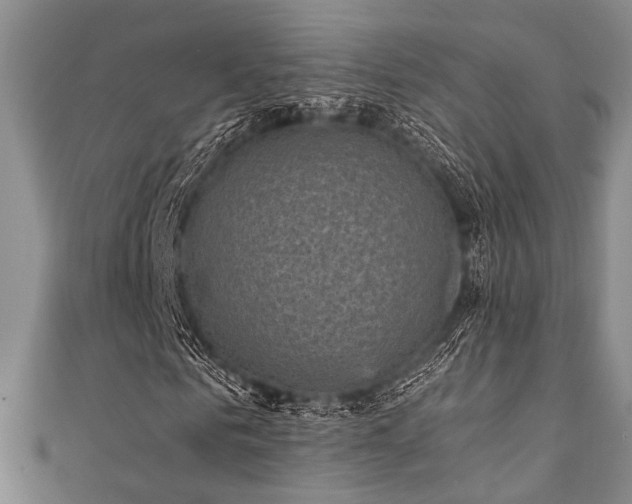 X0000111420961200907131159