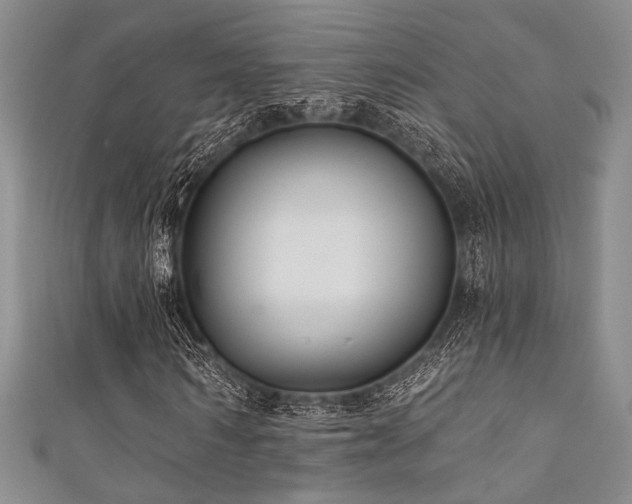 X0000111420962200907131159