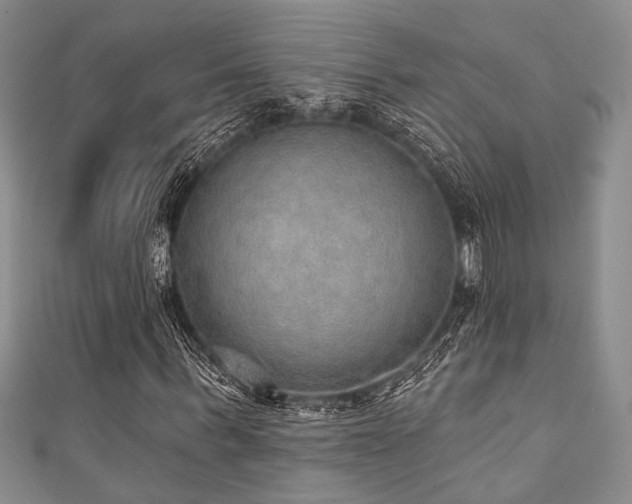 X0000111420963200907131159