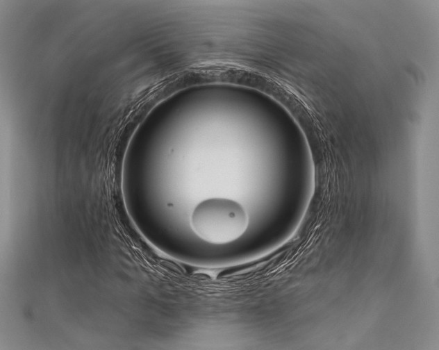 X0000111420965200907131159