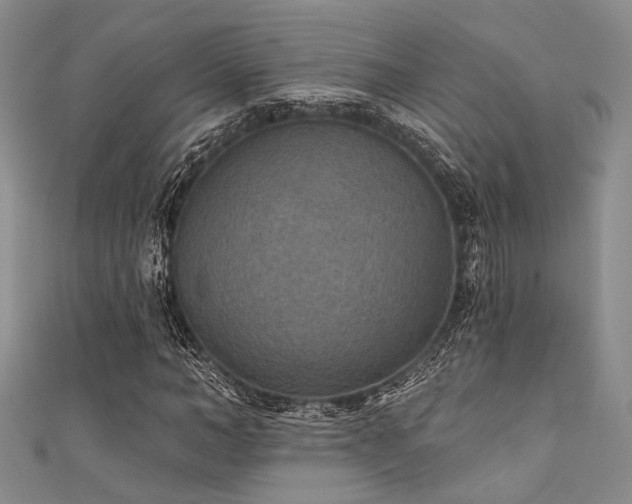 X0000111420966200907131159