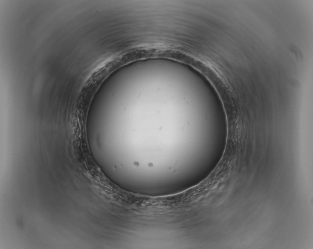 X0000111420967200907131159