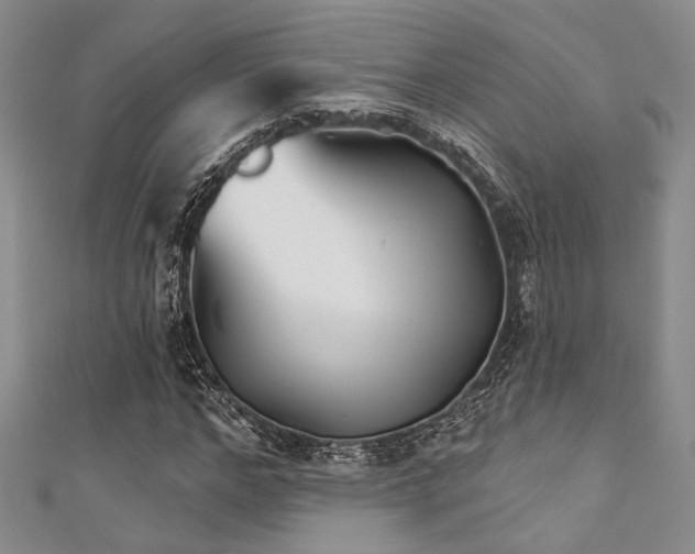 X0000111420968200907131159